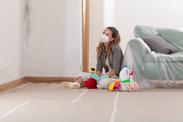 Reliable Mold Remediation contractor in Denville, NJ by Cheap Mold Removal