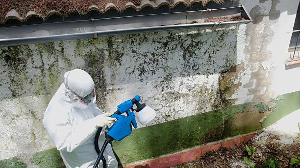 Top rated local Mold Remediation specialists in Denville, NJ